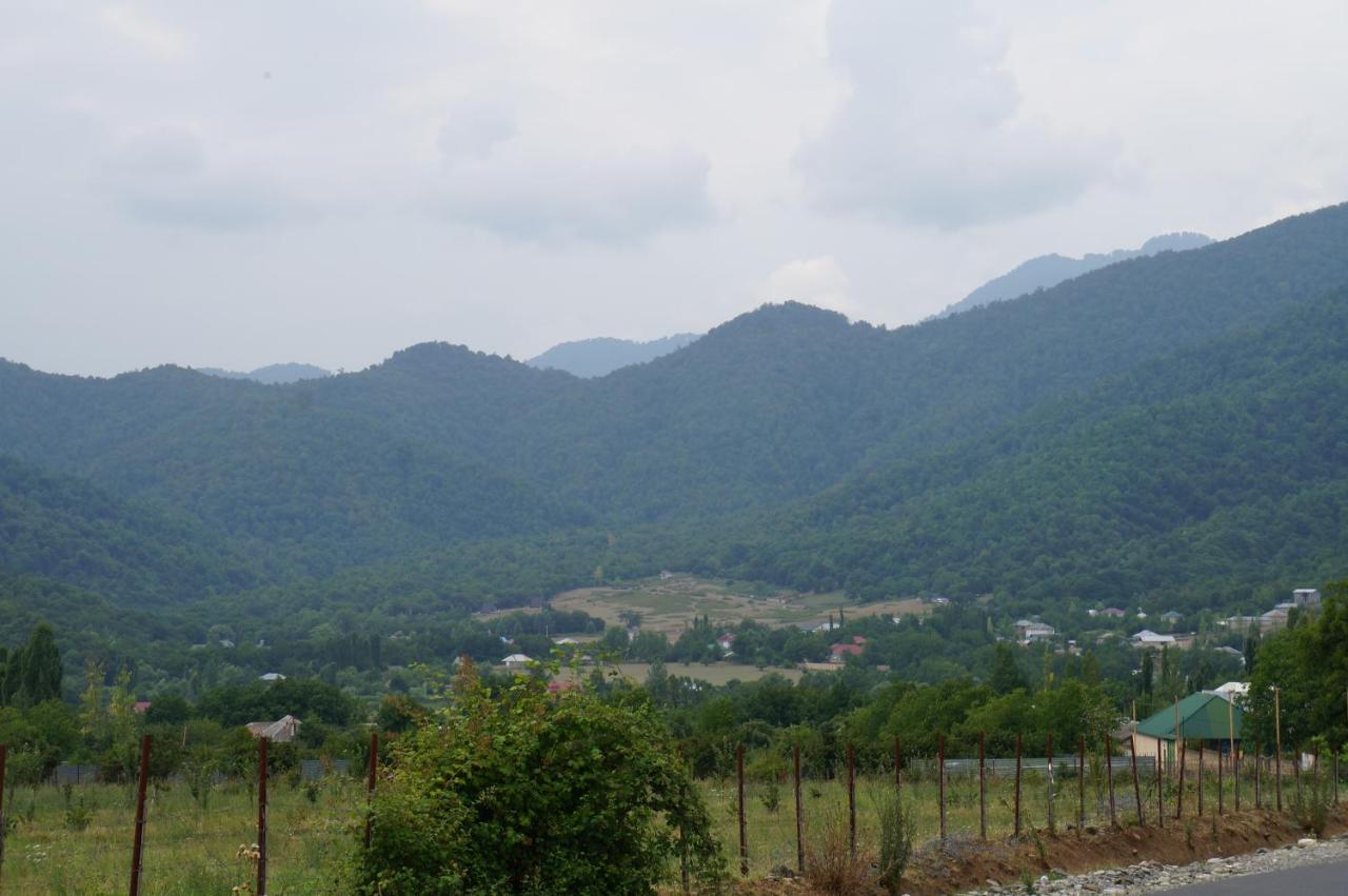 Woodland Paradise Gabala Esterno foto