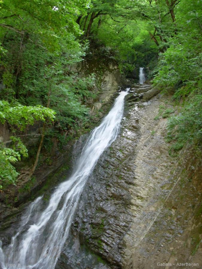 Woodland Paradise Gabala Esterno foto