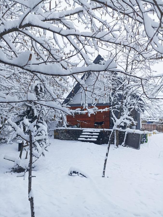 Woodland Paradise Gabala Esterno foto