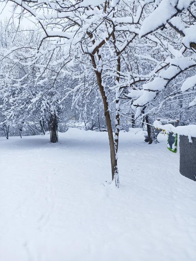 Woodland Paradise Gabala Esterno foto