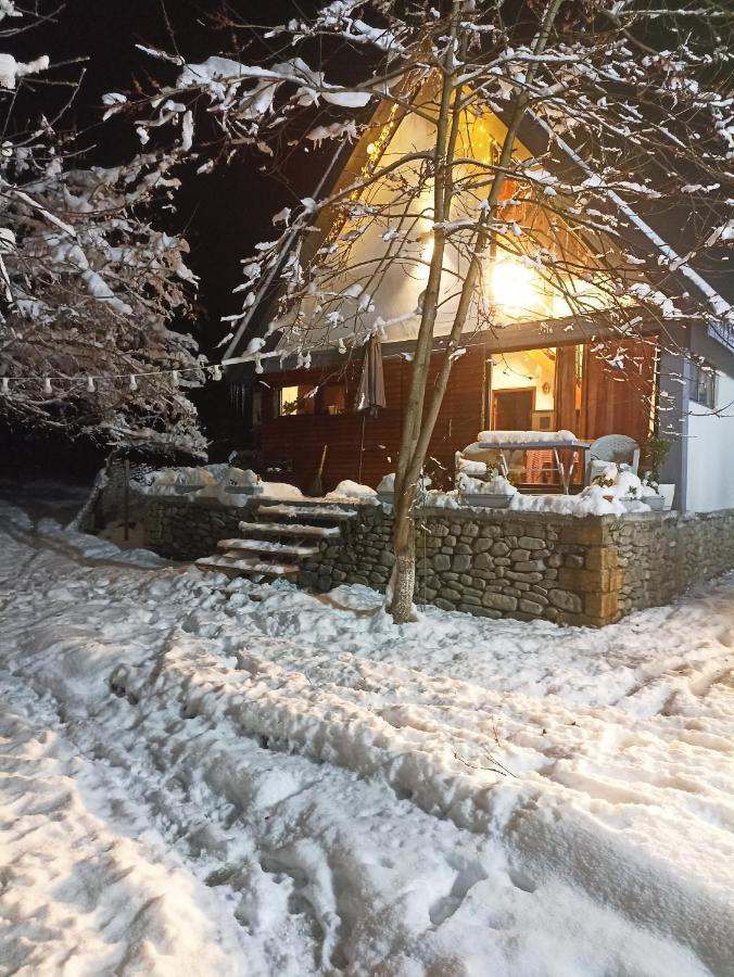 Woodland Paradise Gabala Esterno foto