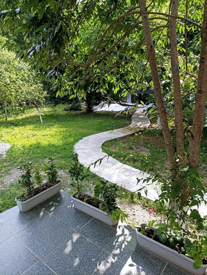 Woodland Paradise Gabala Esterno foto